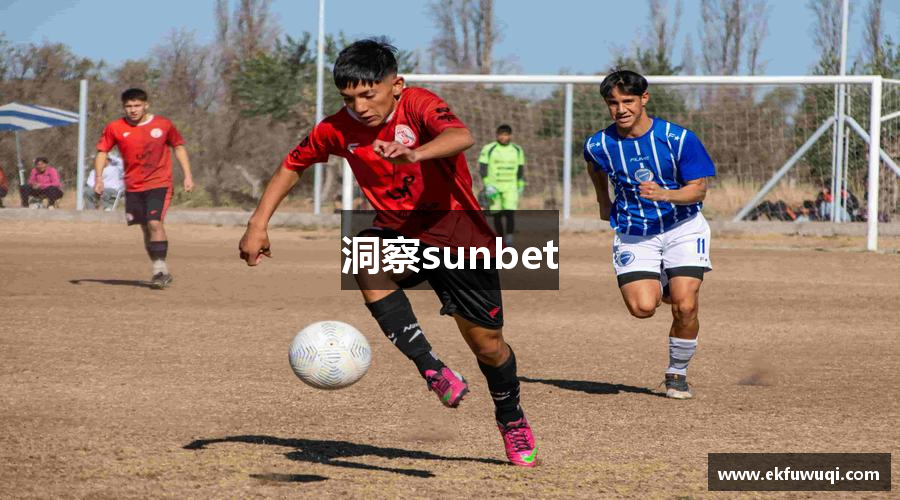 洞察sunbet